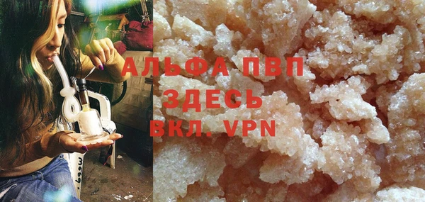 индика Приозерск