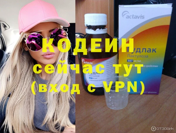 индика Приозерск